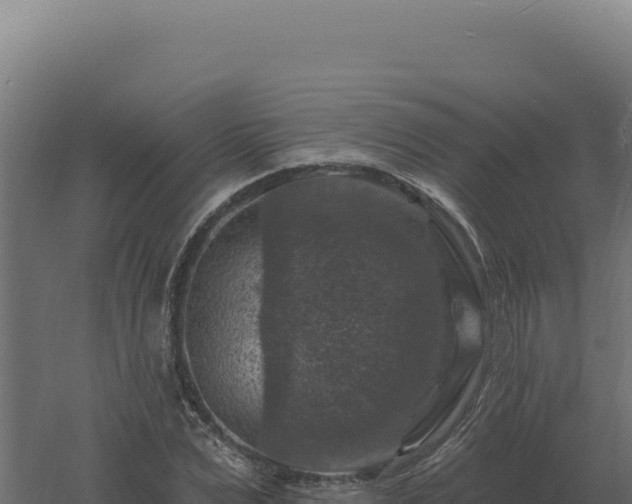 X0000061150975200511241826