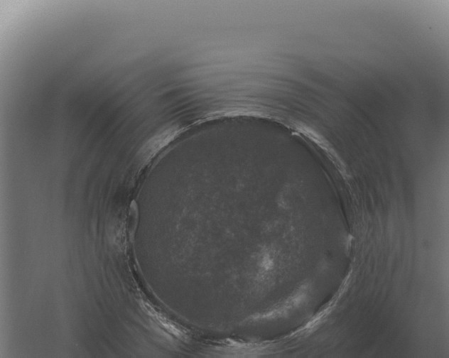 X0000061150977200511241826