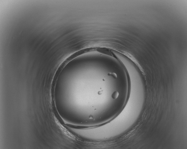 X0000061150980200511241826