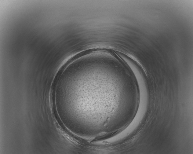 X0000061150983200511241826