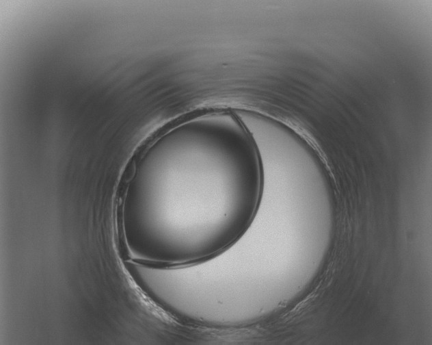 X0000061150984200511241826