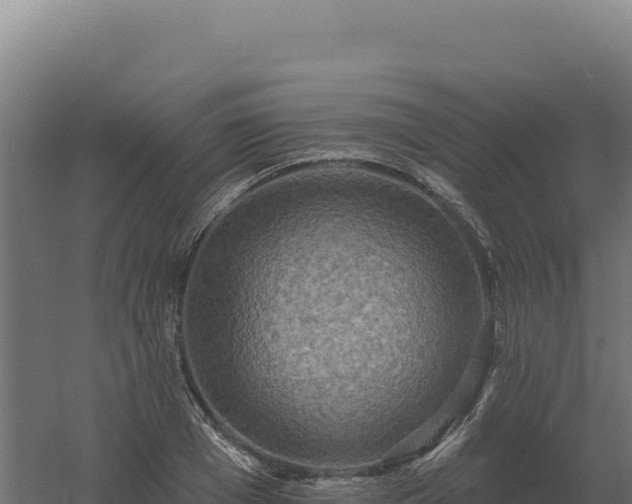 X0000061150985200511241826