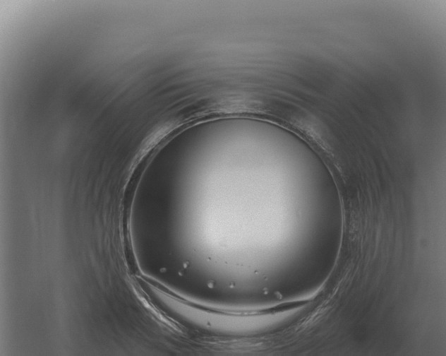 X0000061150986200511241826