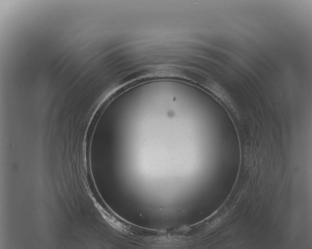 X0000061150988200511241826