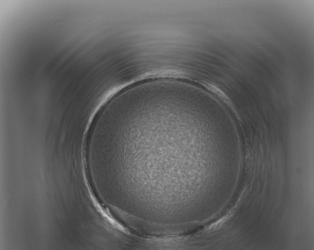 X0000061150989200511241826