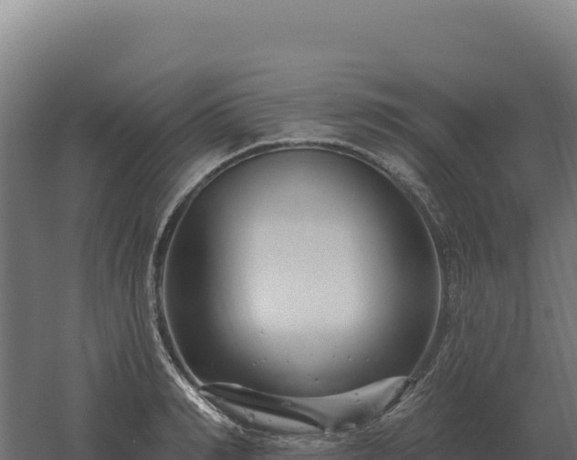 X0000061150990200511241826