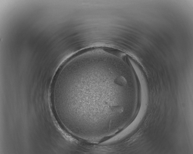 X0000061150991200511241826