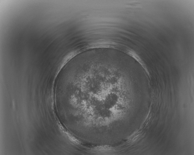 X0000061150994200511241826