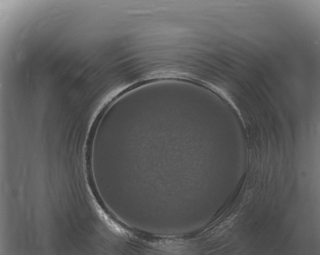 X0000061150995200511241826