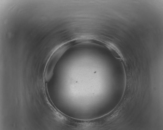 X0000061150996200511241826