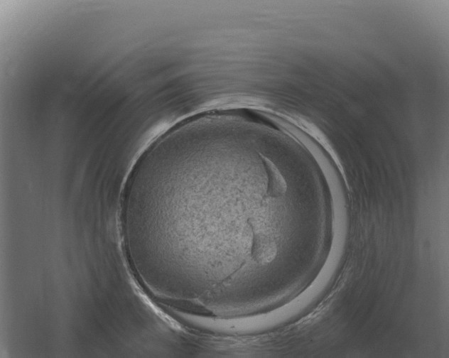 X0000061150997200511241826