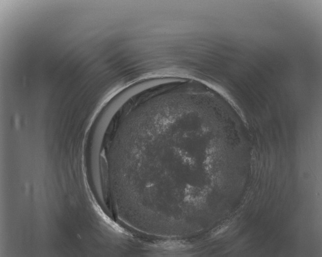 X0000061150998200511241826