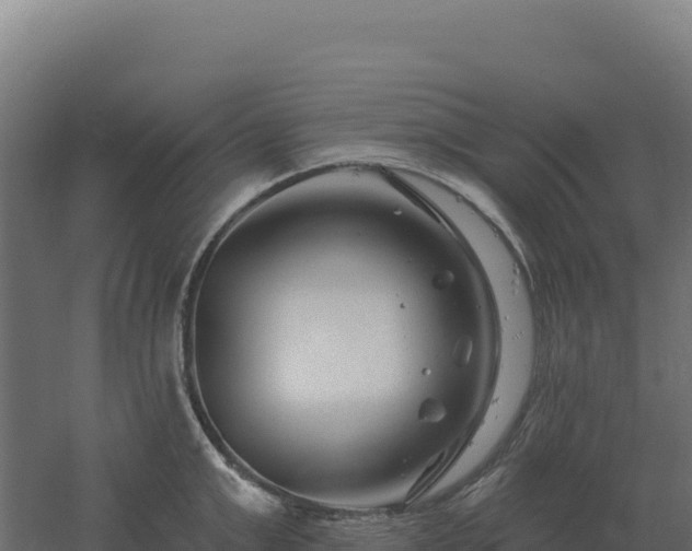 X0000061150999200511241826