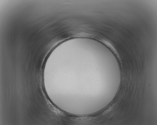 X0000061151000200511241826