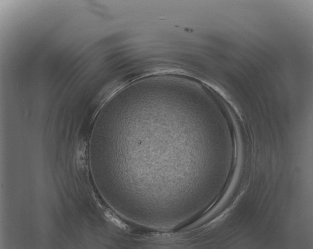 X0000061151001200511241826