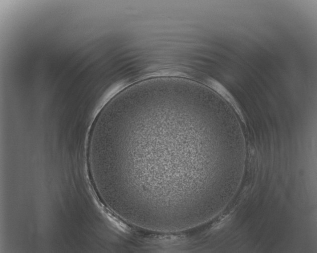 X0000061151002200511241826