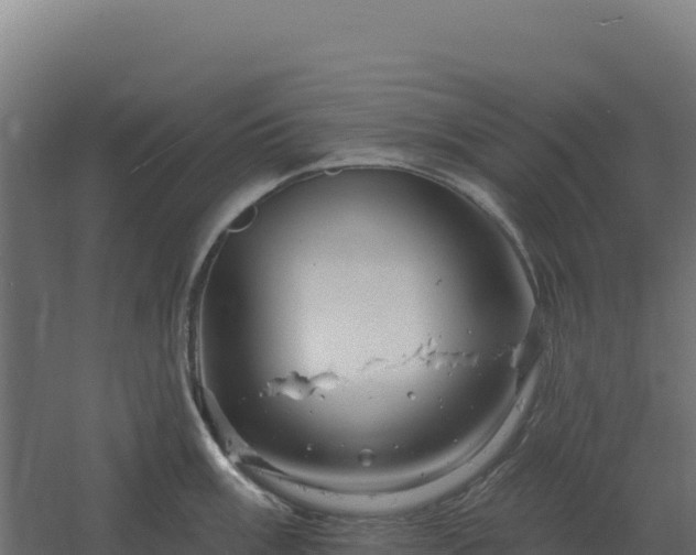 X0000061151003200511241826