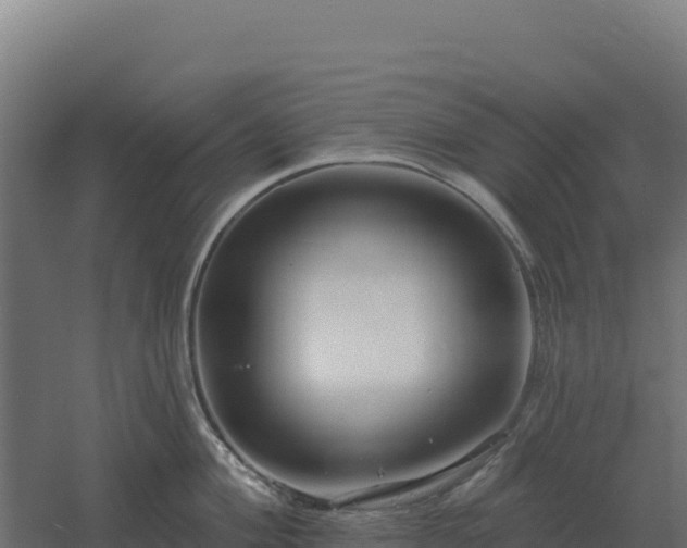 X0000061151004200511241826