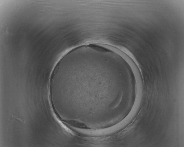 X0000061151005200511241826