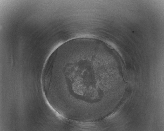 X0000061151007200511241826