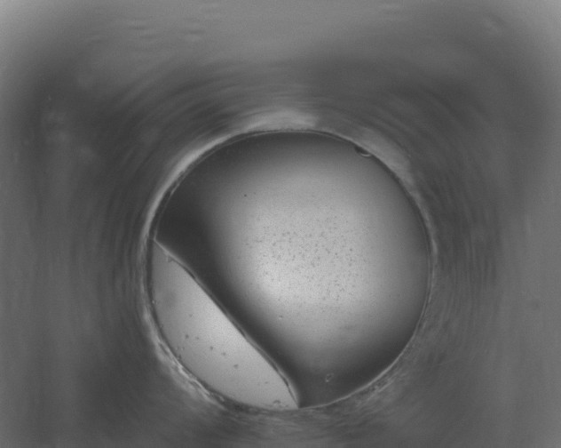 X0000061151008200511241826