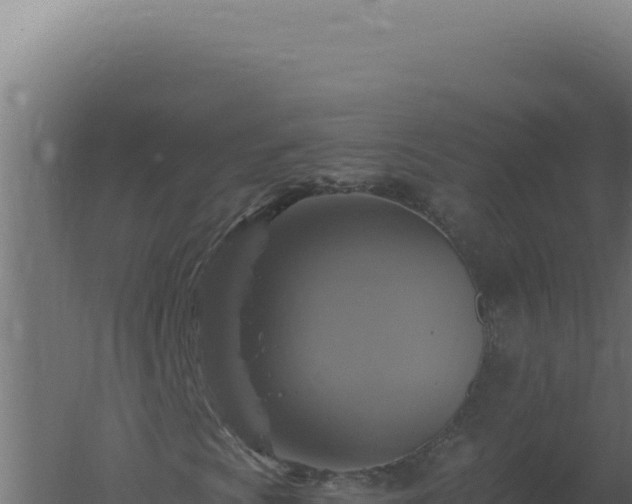 X0000061151009200511241825