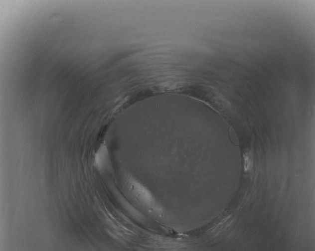 X0000061151011200511241825