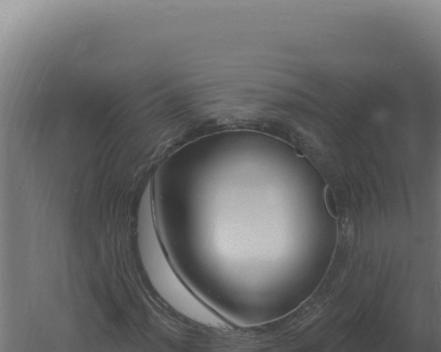 X0000061151012200511241825