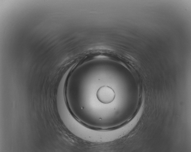 X0000061151014200511241825