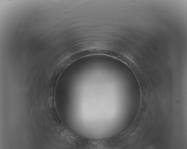 X0000061151015200511241825