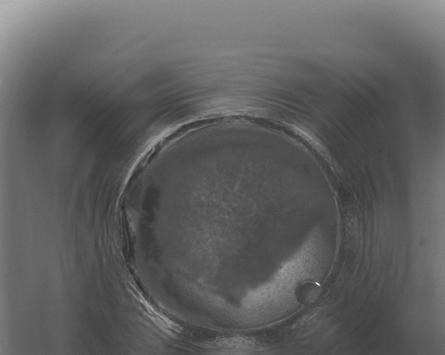 X0000061151023200511241825