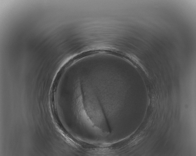 X0000061151024200511241825