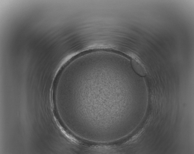 X0000061151030200511241825