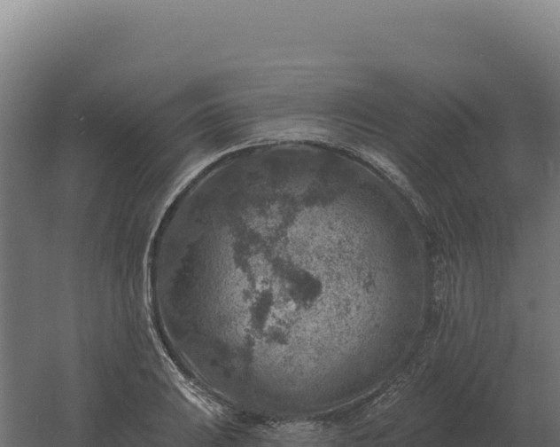 X0000061151031200511241825