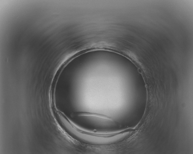 X0000061151032200511241825