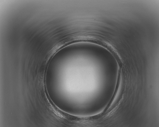 X0000061151033200511241825