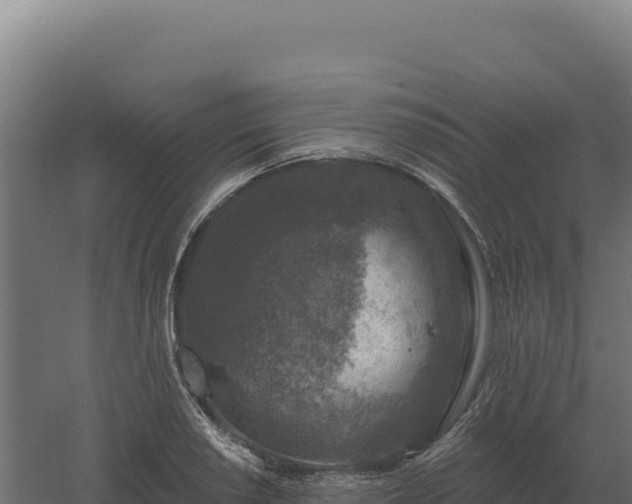 X0000061151034200511241825