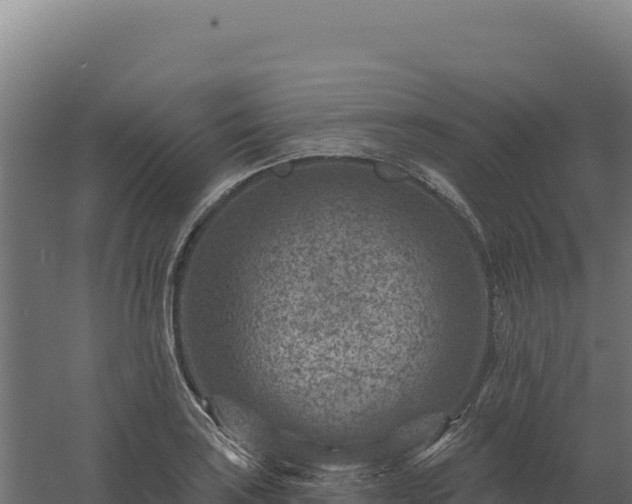 X0000061151035200511241825