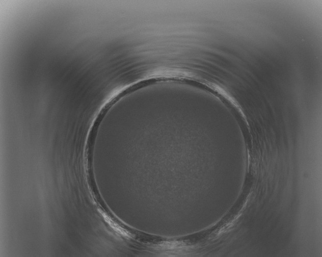 X0000061151037200511241825