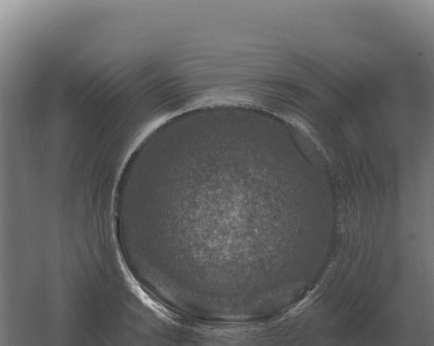 X0000061151038200511241825