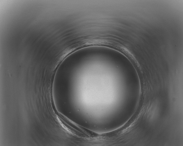 X0000061151041200511241825