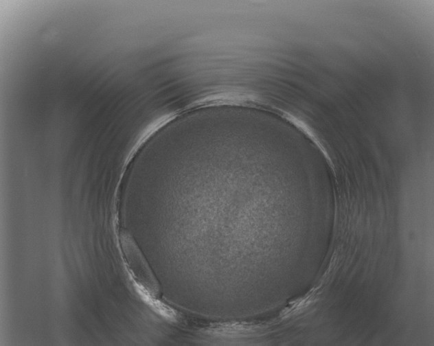 X0000061151042200511241825