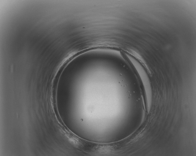 X0000061151043200511241825