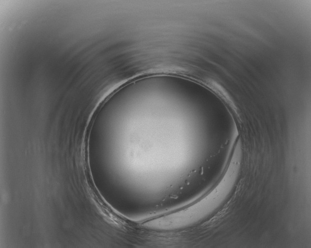 X0000061151044200511241825