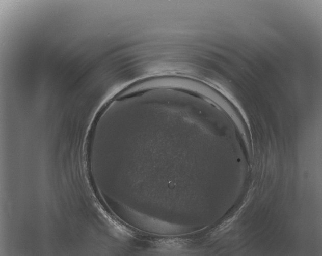 X0000061151045200511241825