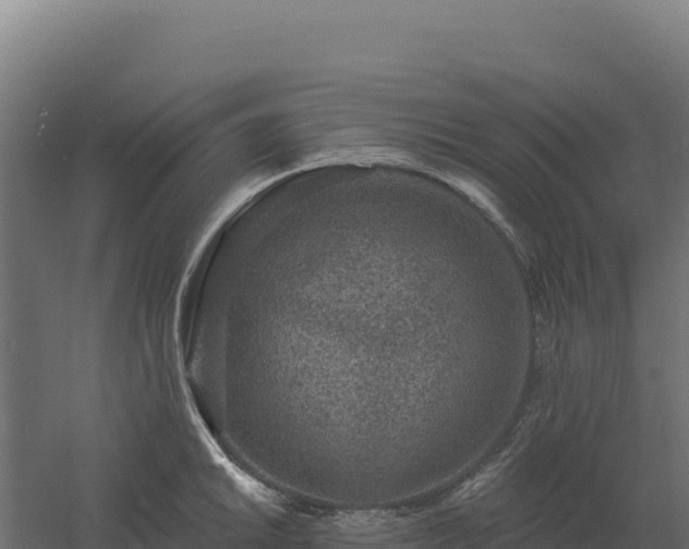 X0000061151046200511241825