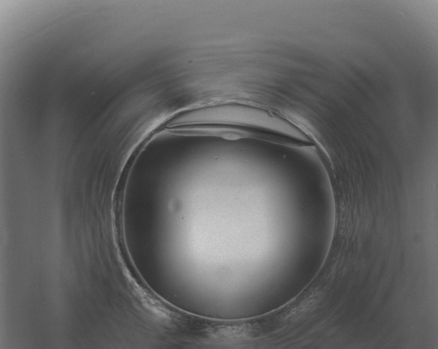 X0000061151047200511241825