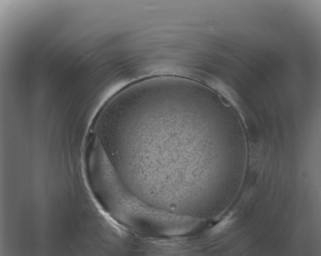 X0000061151048200511241825