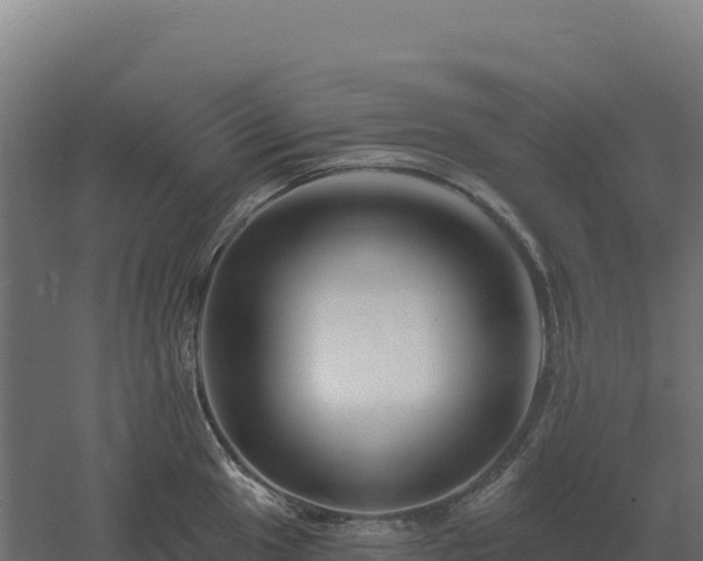 X0000061151049200511241826