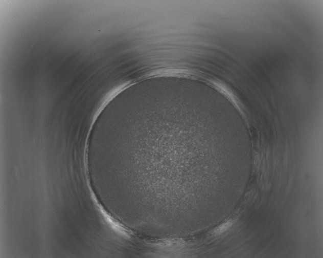 X0000061151050200511241826